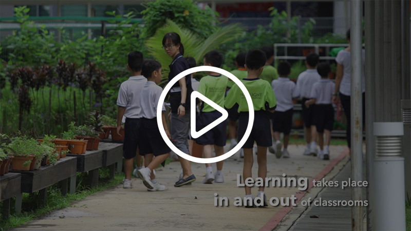 Play Video: Classrooms & Pathlight Curriculum